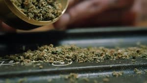 Stock Video Dropping Weed From A Grinder Live Wallpaper For PC