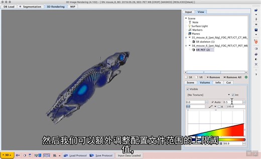 医学图像处理和分析软件 PMod（S3E2 ）：Fused PETCT rendering