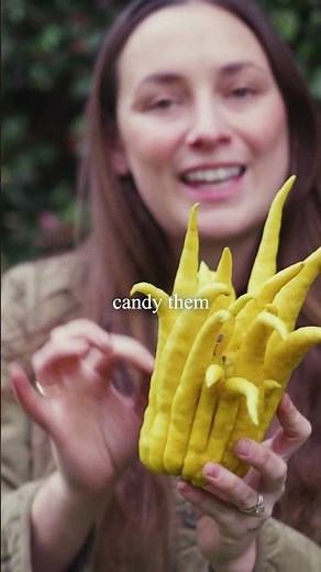 Let's talk about Buddha's Hand!