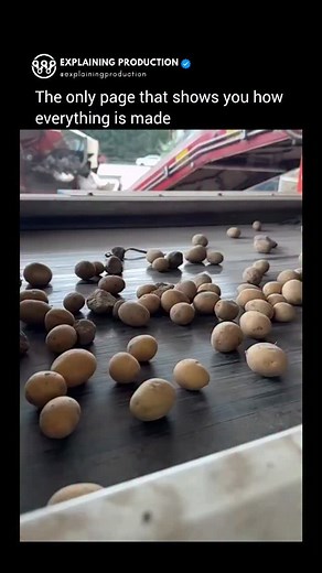 Explaining Production on Instagram: "A quick look at how modern farming works. From fast planting to machine-powered harvesting, fruit picking, crop collection, and even how food gets separated from rocks and debris. A full behind-the-scenes glimpse at how the stuff we eat is produced on a massive scale."