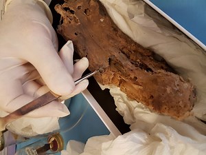 Early Christian relics examined and dated by researchers - Medievalists.net