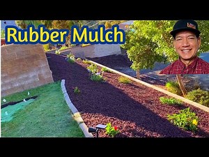 Remove Existing Ground Cover and Replaced with Rubber Mulch and Plants
