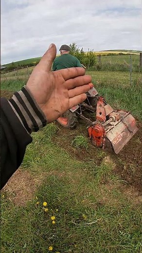 Kubota B4200 avec rotovator