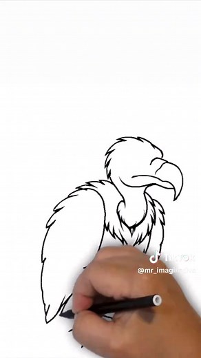 How to Draw a Mythical Vulture in Easy Steps