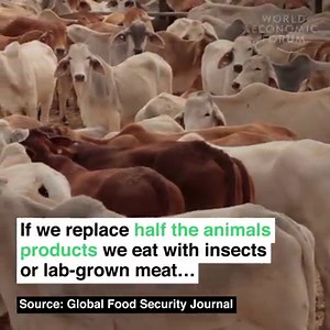 2.1M views · 4.2K reactions | Don't worry, they're supposed to be...