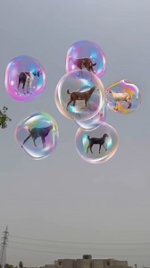 6M views · 69K reactions | Magical Bubbles 﫧 wait 4 End | Amir AHR | Facebook