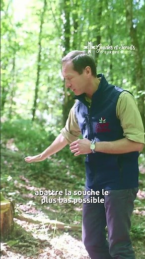 "How to cut stumps?" - Episode 3/4 Vincent's Tips
