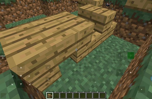 我的世界java版本里面那些离谱的bug