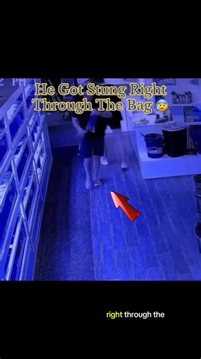 IdkSterling (@idksterling)’s video of string bags