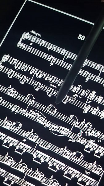 Sonata in C Major Piano - Haydn - Solo by Jan Simandl . . #classicalmusician #ensamble #classicmusic #instrument #classicalmusic #pianoplayer