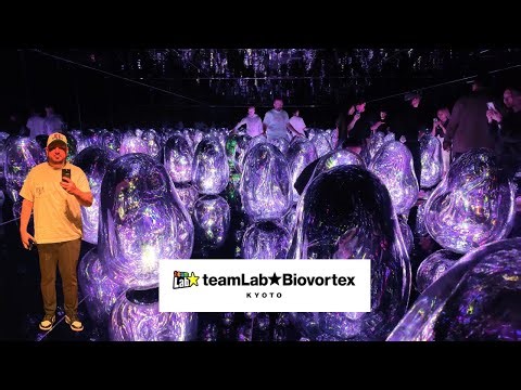 teamLab BioVortex Kyoto — The Most Mesmerizing Art Installation in Japan!