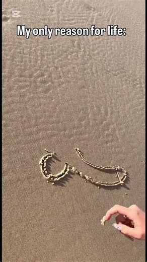 Oh... #roblox #cat #meme #sus