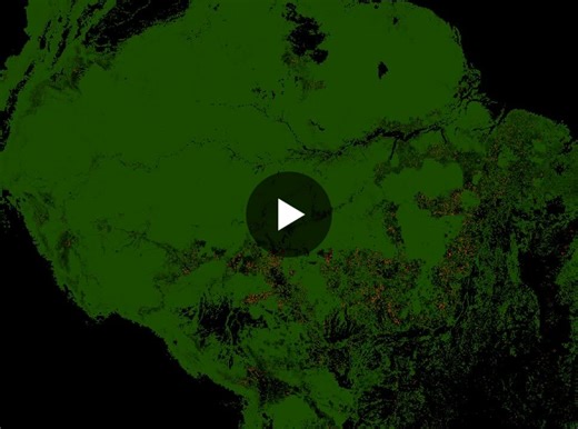 Amazon Deforestation 2001-2023: 118.7M Hectares Lost | Pardhasree Tatini posted on the topic | LinkedIn