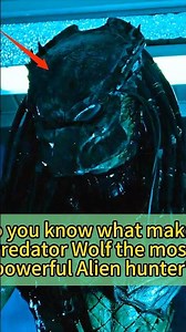 Do you know what makes Predator Wolf the most powerful Alien hunter?#fyp #predator #alien #filme