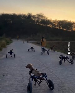 4.8M views · 308K reactions | The best thing you will see today ❤️ | JOE.co.uk | Facebook