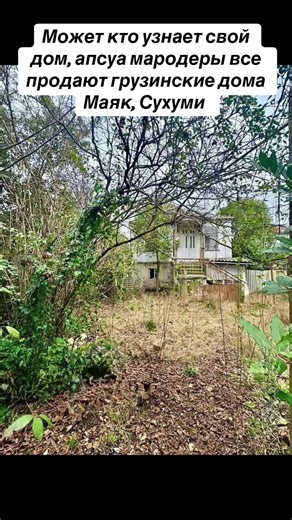 Exploring Abkhazia and Its Georgian Heritage