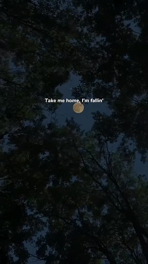 Take Me Home I'm Falling: Lyrics and Video Experience