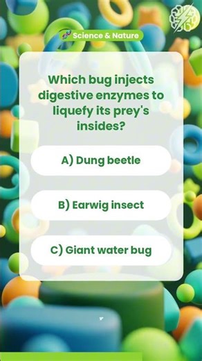 Which bug does this? 🐛 Science Quiz