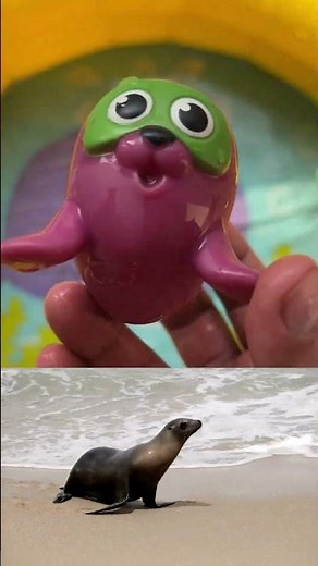 Fun Sea Animal Names and Facts for Kids | Ocean Toy Exploration for Toddlers| ocean animal toys