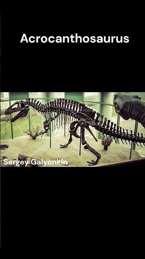 Acrocanthosaurus