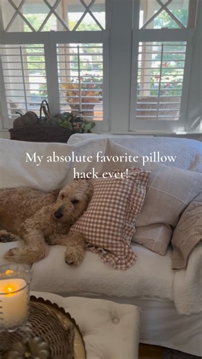 Beth Gardening Thrifting Home Decor on Instagram: "This might be my most creative idea yet! ✨ If you love rotating your pillow covers seasonally, here’s a hack you have to try! Instead of buying new dining chair cushions, I slipped my pillow covers right over my chair pads — and it worked perfectly! 🙌 Cozy, affordable, and totally customizable for every season. 💬 Have you ever tried this? Let me know in comments! Pillow covers linked in my @shop.ltk #homehack #DIYhome #decorinspo #cottagestyle