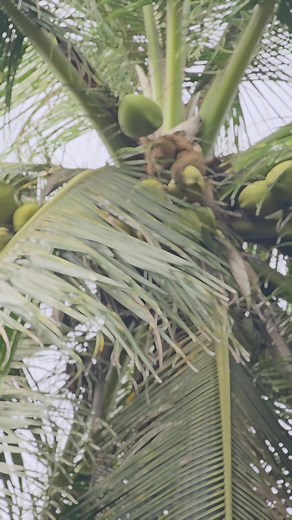 Richard Barton บน TikTok