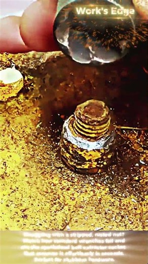 Using an Extractor Socket on Damaged Nuts #work #shorts #tool #mechanic #engineering