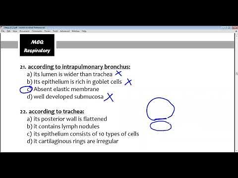 MCQ histology of respiratory system