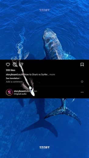 How To: Shark vs Surfer🦈🏄‍♂️ เจนคลิปแนว Visual ด้วยเครื่องมือ AI วิธีทำคลิปนี้ ✔️เจนภาพด้วย Seedream 4.0 บนแพลตฟอร์ม Freepik AI ✔️เจนวิดีโอด้วย Image to Video บนแพลตฟอร์ม Kling AI ✔️ใช้เพลงและเสียงประกอบจาก Artlist ✔️ตัดต่อวิดีโอทั้งหมดด้วย CapCut #Seedream #Freepik #KlingAI #Artlist #CapCut #เจนเอไอ | Storyboard.co.th