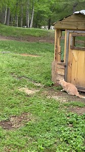 What has my life become? | From Suits to Boots