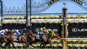 How to watch the Melbourne Cup 2025