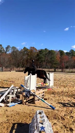 First *roughly* 2 months of jumping!!!! So proud of Junie!!so much to work on but I can’t wait to do it and can’t wait to get some cross country in 🫢