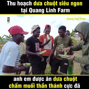 3M views · 86K reactions | Anh em ăn dưa chuột Việt Nam chấm muối Hảo Hảo là mê lun đấy  ___________ Nguồn: Quang Linh Vlogs - Cuộc sống ở Châu Phi Bản quyền được bảo vệ và quản lý bởi MCV Network #MCVNetwork #MCVGroup #MCVMedia #QuangLinhVlogs #QLV #Netbiz #SpeedCouple #CT | Top Entertainment | Facebook