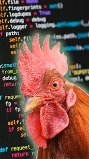 Using Python to Solve My Poultry Chicken Farm Profit Problem
