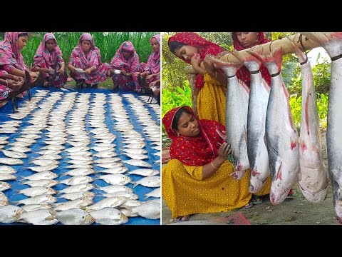 Bengali Mixed Fish Curry Recipe | Pangasius, Sorputi & Sea Barb