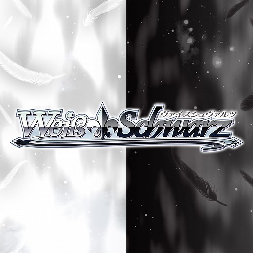 For Beginners | Weiß Schwarz