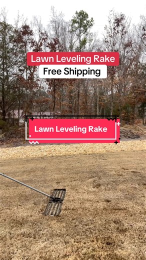 Mastering Lawn Maintenance with a Leveling Rake