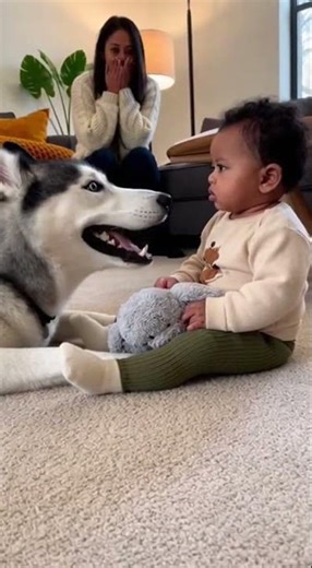 “Dog Shock Face 😱🐶👶”