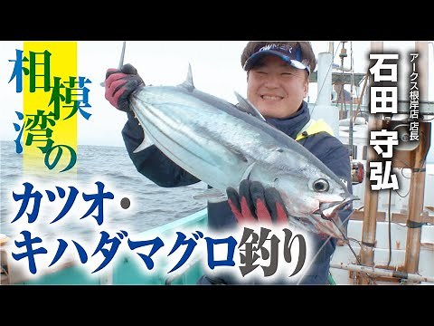 相模湾のカツオ・キハダマグロ釣り