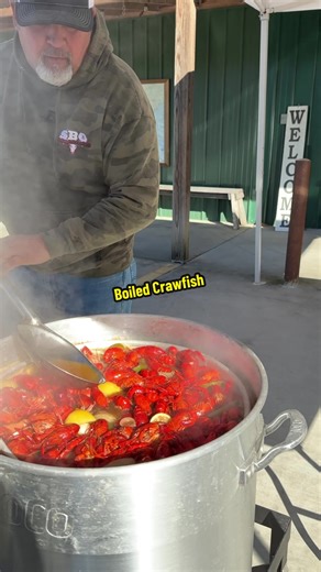 Delicious Boiled Crawfish Recipe in Just a Minute