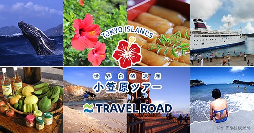 小笠原諸島旅行・ツアー 東京発フェリーで行く！｜トラベルロード