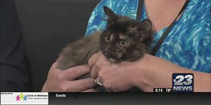 Pet of the Week: Moana