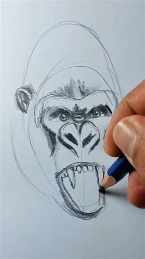 Learn to draw a gorilla's head using only a pencil 🦍✏️