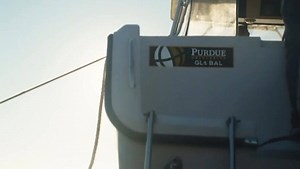 21K views · 13 reactions | Purdue Global on Reels | Facebook