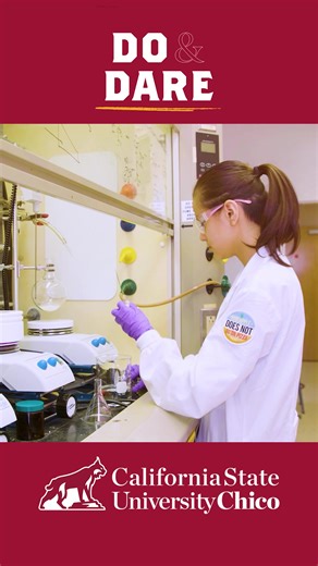 43 reactions | California State University, Chico on Reels | Facebook