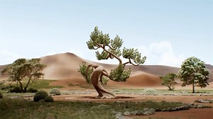 【动态视觉鉴赏】Yard Explainer Video 三维创意动画，植物生长，C4D三维动画设计，_哔哩哔哩_bilibili