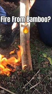 Primitive Survival Fire | Friction Fire Using Bamboo Fire Saw
