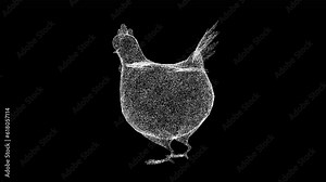 3D funny chicken hen rotates on black bg. Comic humorous concept. Advertising of chicken products. Nature and animals concept. For title, text, presentation. Shimmering particles. 3d animation 60 FPS