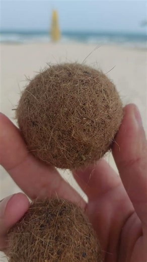 souvenir