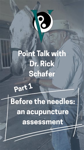 🐴 Point Talk with Dr. Rick Schafer We’re back with a new horse and more acupuncture insights! Watch as Dr. Schafer walks through his assessment and approach in this latest Point Talk episode. 👉 Want to see all Point Talk videos? Visit our Facebook page, and if you haven’t yet, join our private IVAS Facebook Group to stay connected with fellow IVAS members! #equine #veterinary #vetacupuncture #veterinarycommunity #EquineAcupuncture #dogacupuncture #VeterinaryEducation | International Veterinary